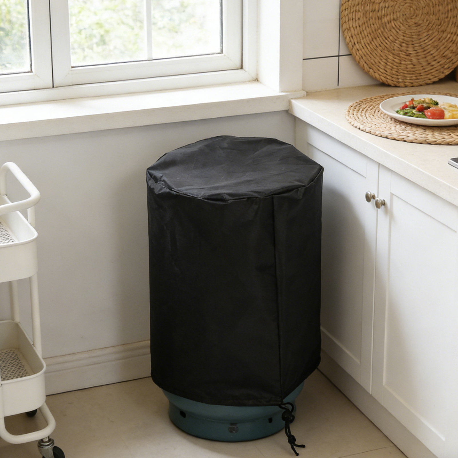 22 Lb Small Gas Cylinder Prote - Camping Cooking Backpack recensione e prezzo