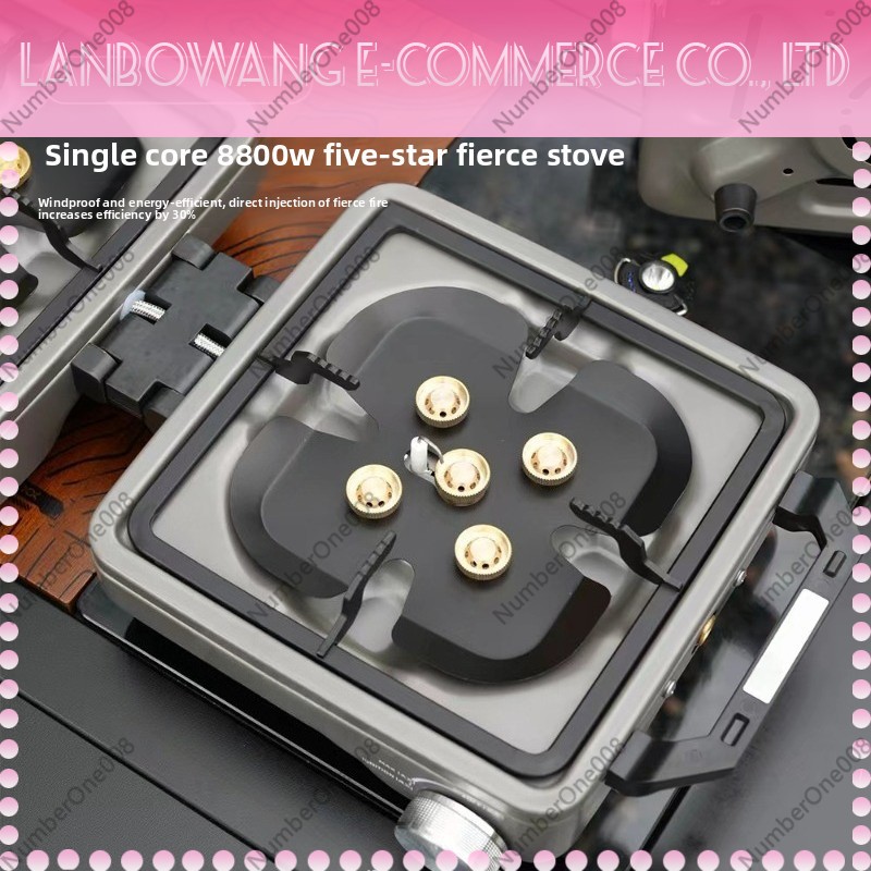 Outdoor Dual Burner High Power - Camping Cooking Hob recensione e prezzo