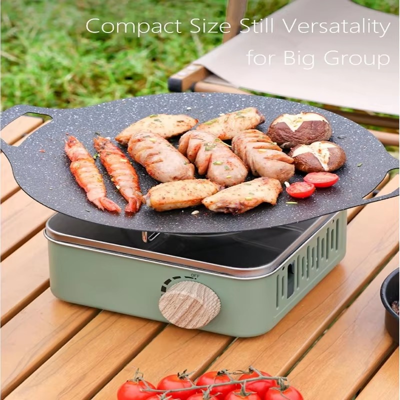 2800W Camping Mini Gas Stove P - Camping Cooking Plate recensione e prezzo