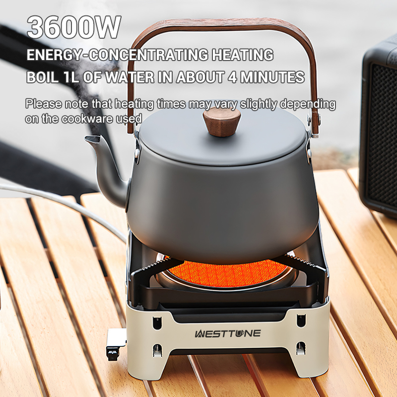 WESTTUNE Outdoor Infrared Comb - Camping Cooking Plate recensione e prezzo