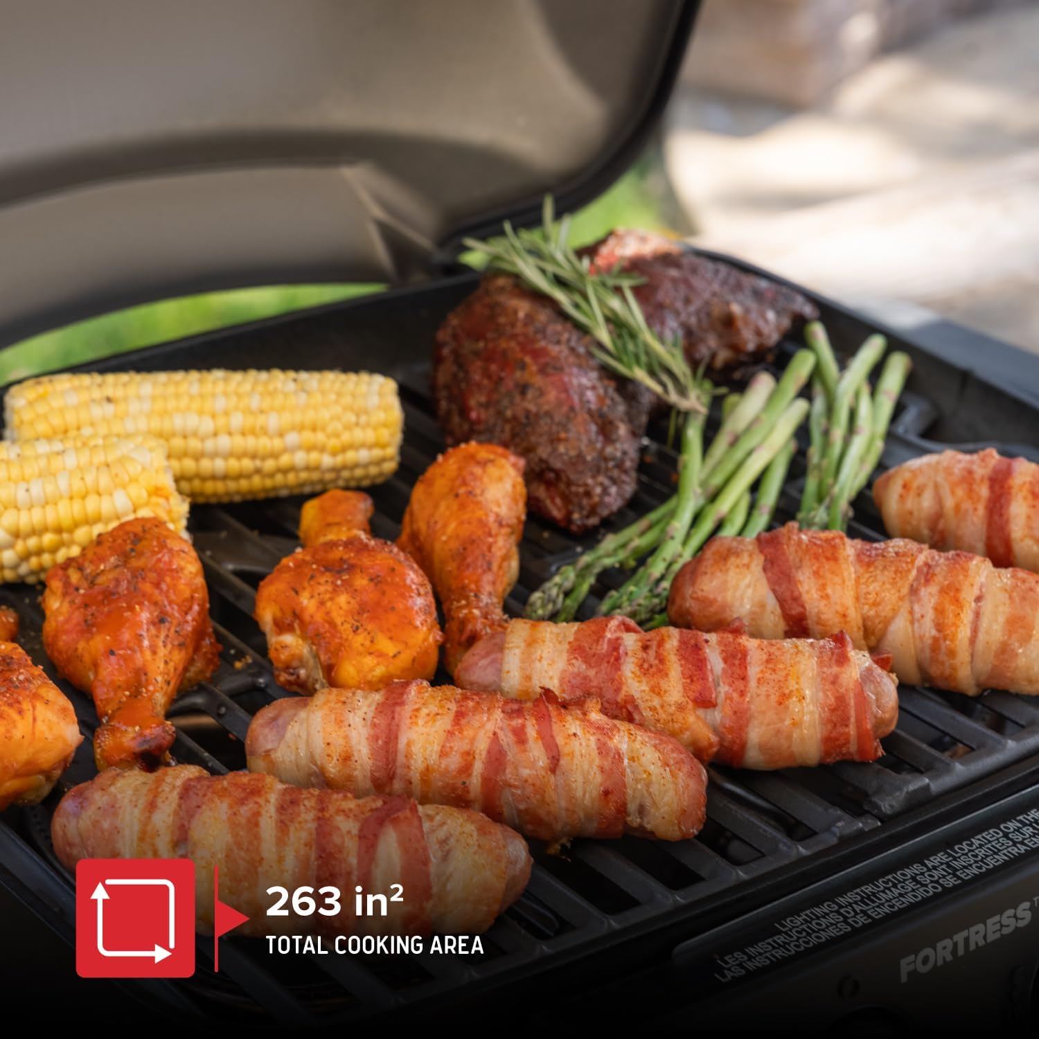 Portable Charcoal & Gas Campin - Camping Cooking Fire Pit recensione e prezzo